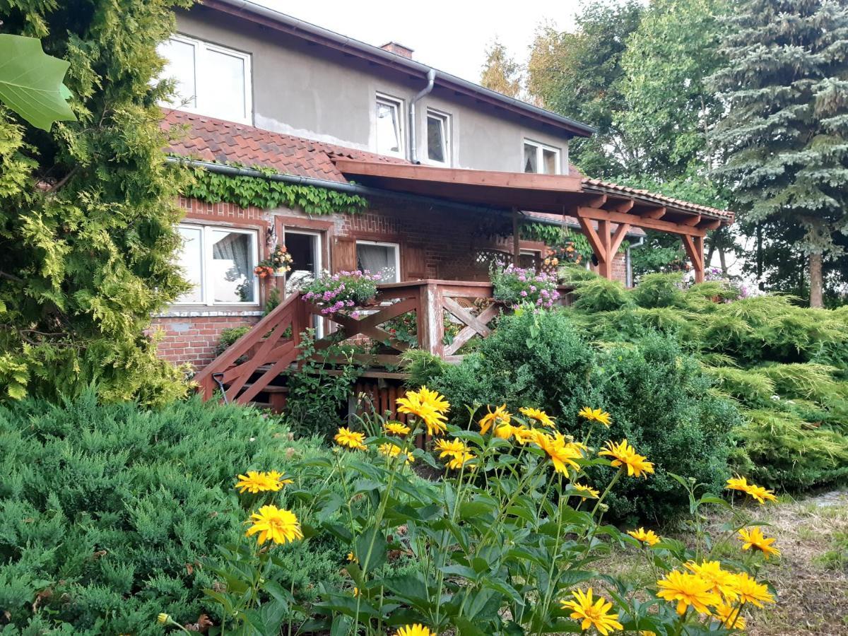 Dziki Brzeg Jezioraka Villa Zalewo  Kültér fotó