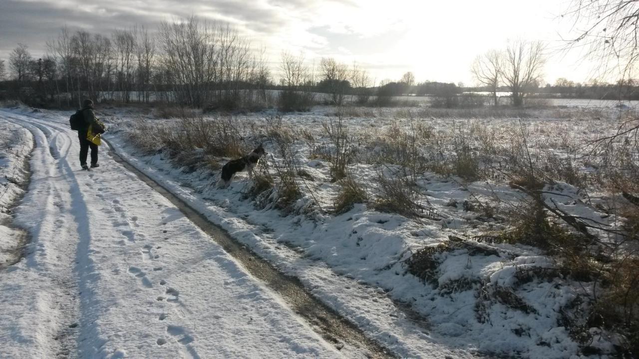 Dziki Brzeg Jezioraka Villa Zalewo  Kültér fotó